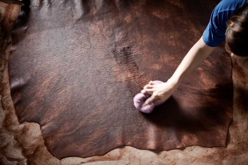 "Vista superior de um artesão a tratar uma pele de couro castanha de grandes dimensões. A mão do artesão segura uma esponja roxa, aplicando um produto com movimentos circulares sobre a superfície texturizada e irregular do couro, que apresenta tonalidades quentes e naturais."
